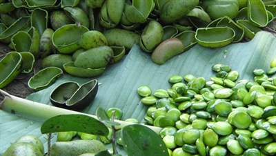 Fame nervosa o fame vera? Il segreto della serenità… parte da un seme africano